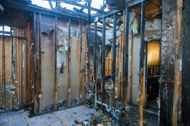 Professional Fire Damage Removal technician working in Abingdon, MD